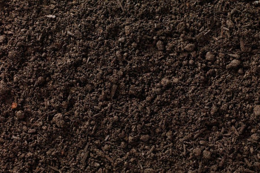 Screened Topsoil